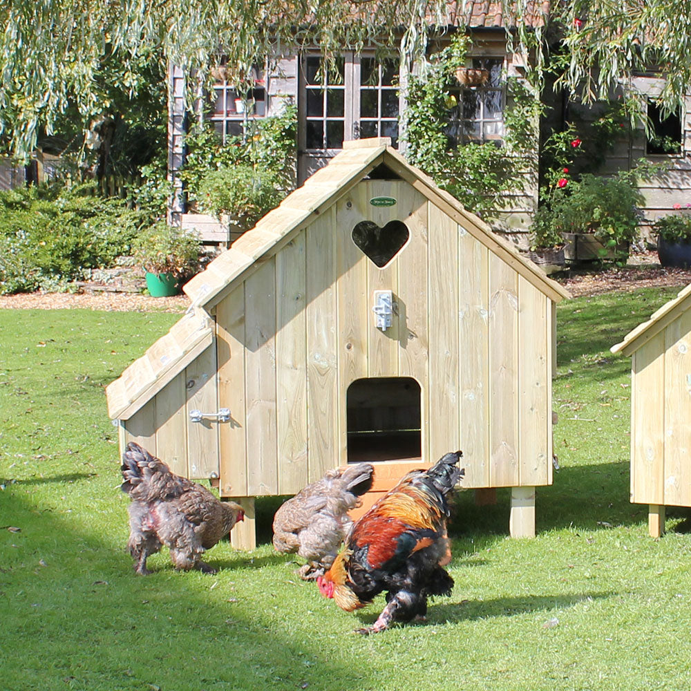 Maggie's Dozen Hen Houses | Large Chicken House