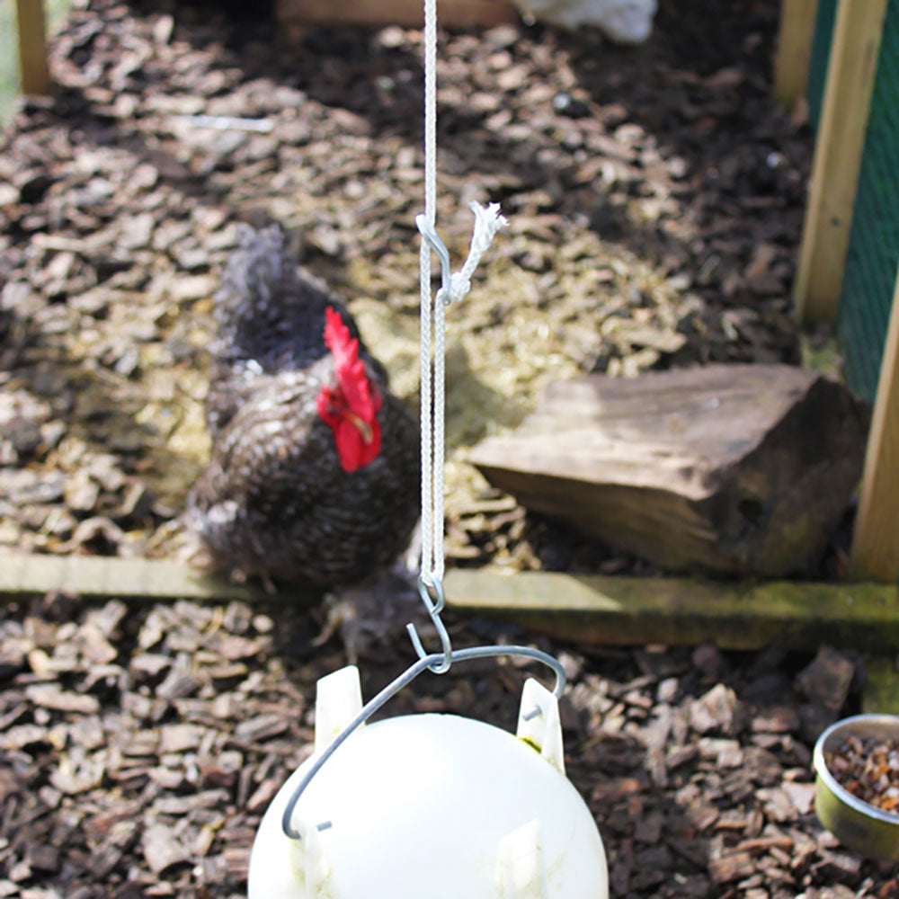 Poultry Feeder & Drinker Accessories