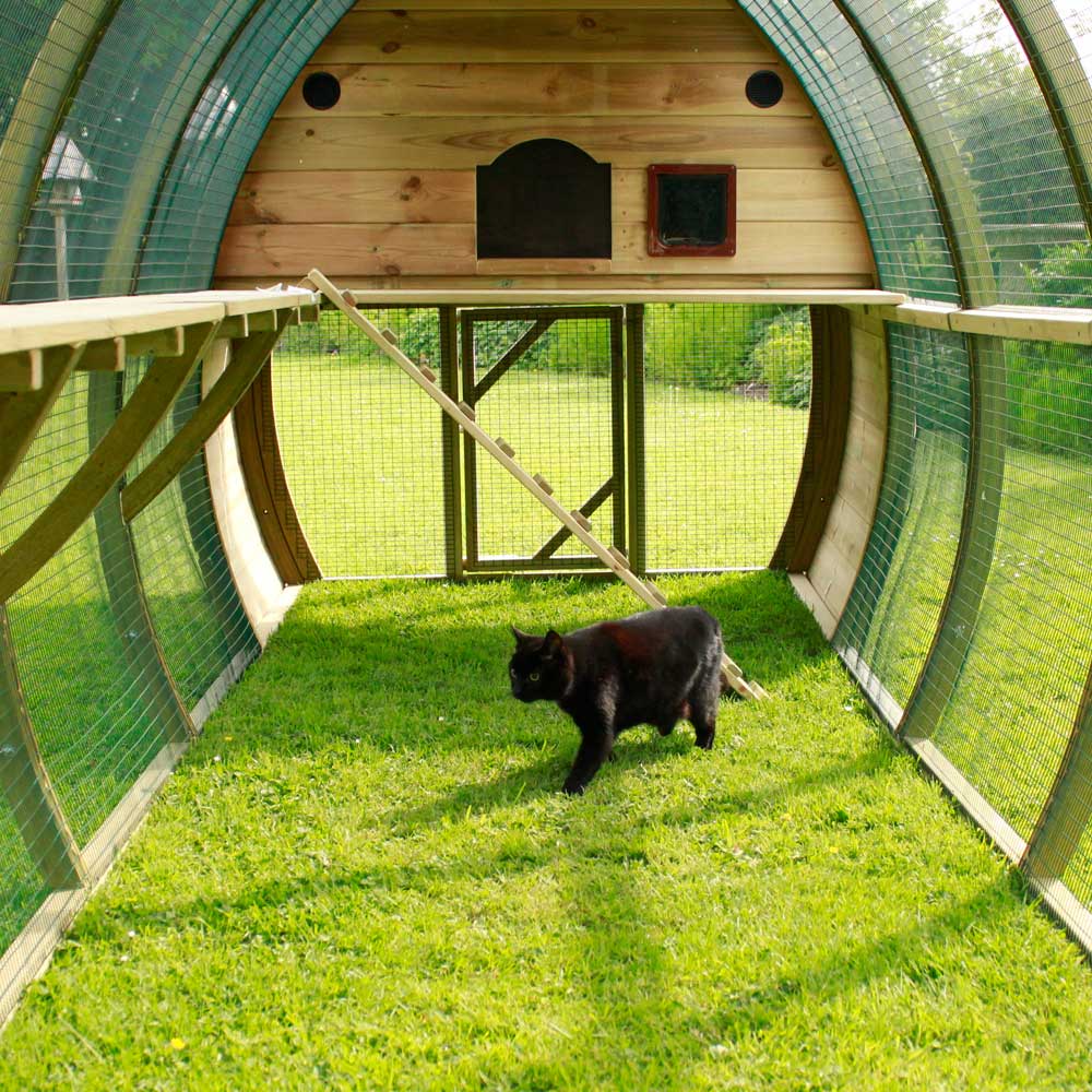 Framebow rabbit clearance hutch