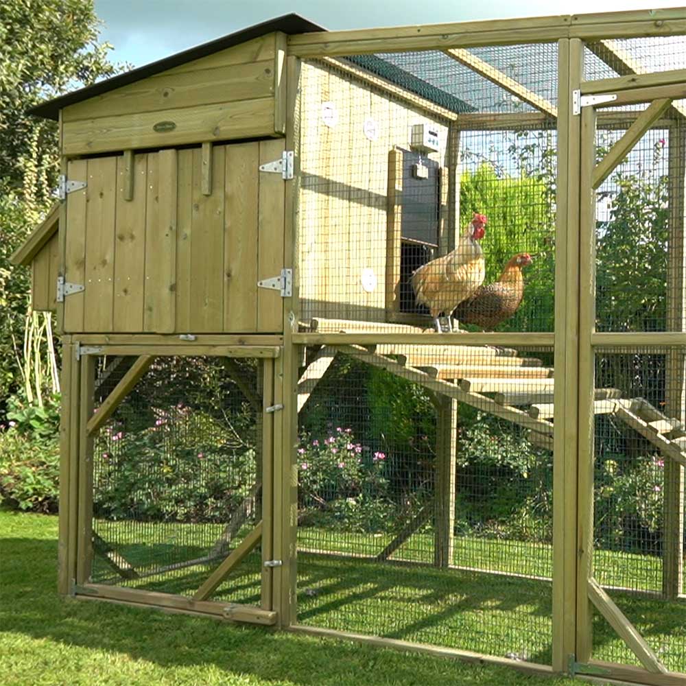 The Flyte Aviary 8 Chicken Coop