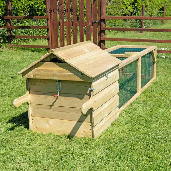 Broody Chicken Coop with 2m Run, UK made by Flyte so Fancy