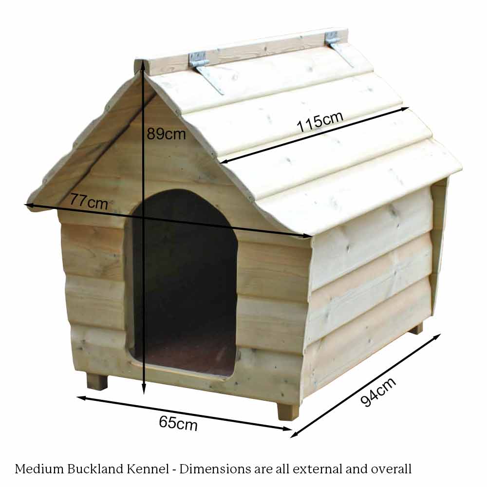 Medium sale kennel dimensions