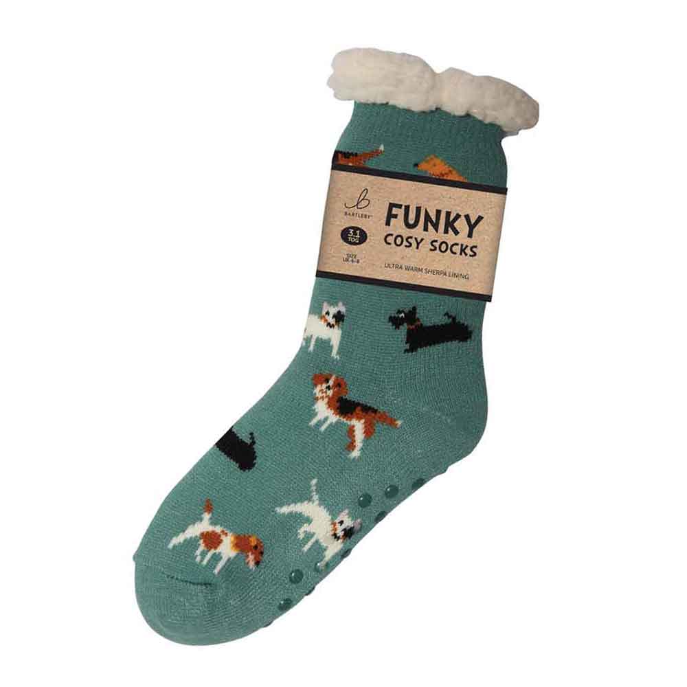 Bartleby Funky Cosy Socks - Doggy Divas