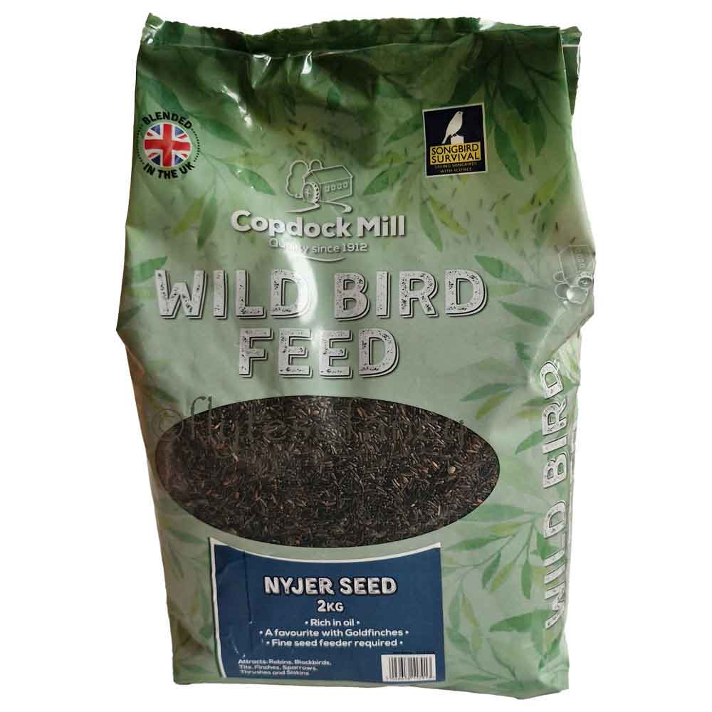 Nyjer Thistle Seed for Wild Birds