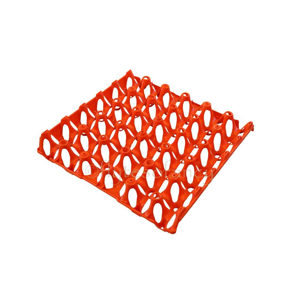 Plastic Egg Trays