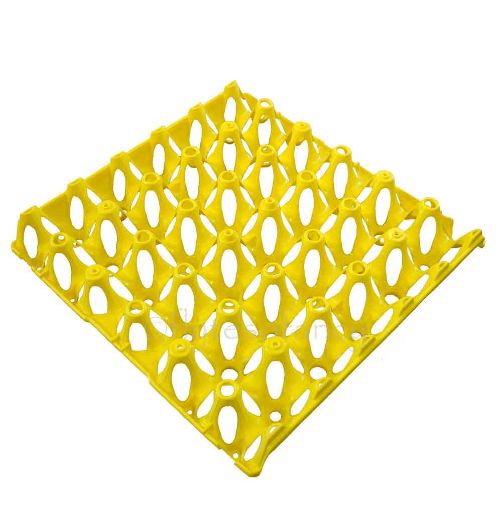 Plastic Egg Trays