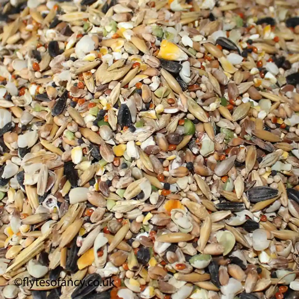 Premium Wild Bird Seed Mix, 5kg bag from Flyte so Fancy