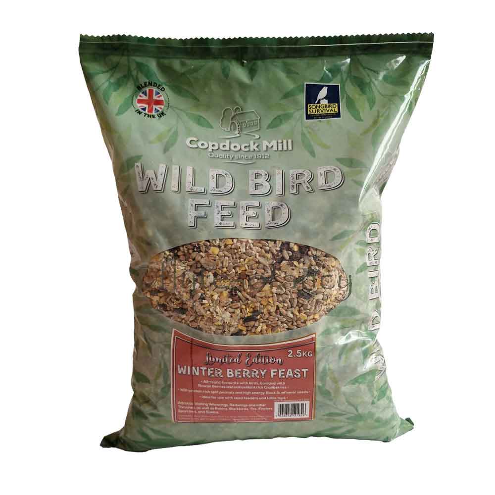 Winter Berry Feast Wild Bird Seed Mix