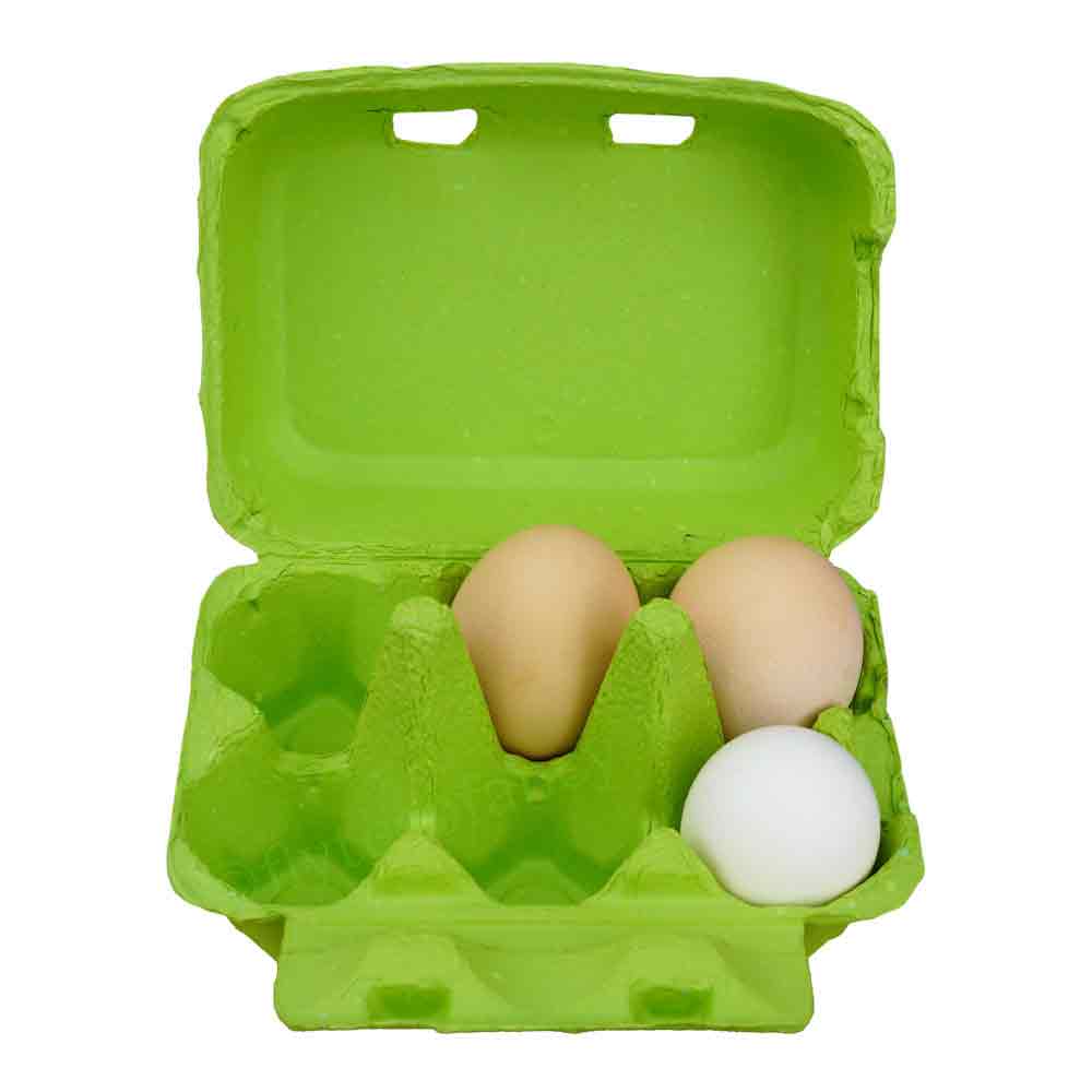 Apple Green Fibre Egg Boxes