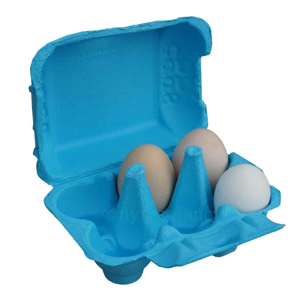 Flyte Fibre Egg Boxes - Sky Blue