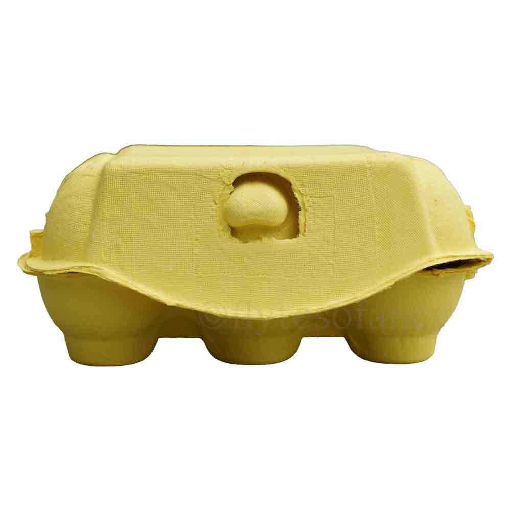 Flyte Fibre Egg Boxes - Sunflower Yellow - NEW!