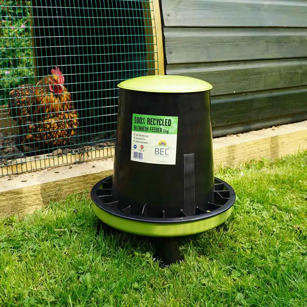 Recycled Plastic Blenheim Indoor Chicken Feeder, 6kg