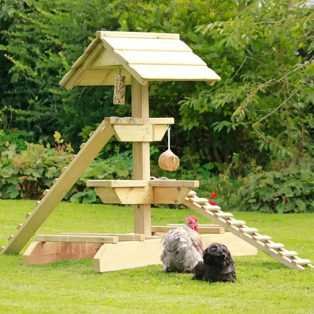 FSF Chicken Jungle Gym® | Chicken Keeping Equipment