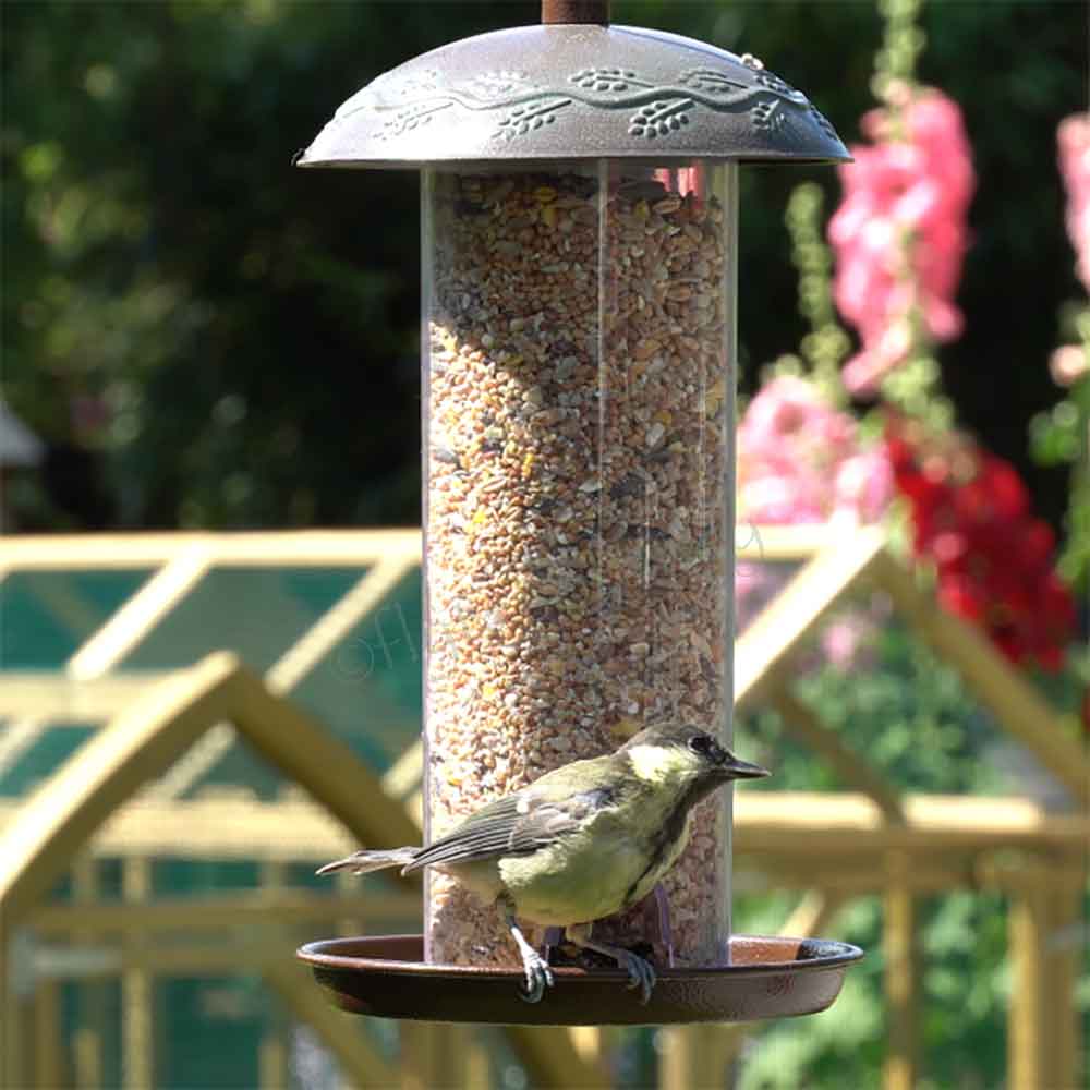 Peckish Secret Garden Bird Seed Feeder