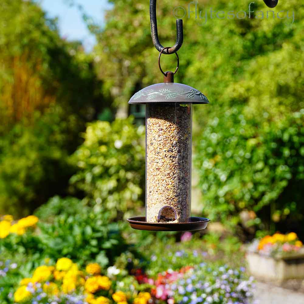 Peckish Secret Garden Bird Seed Feeder