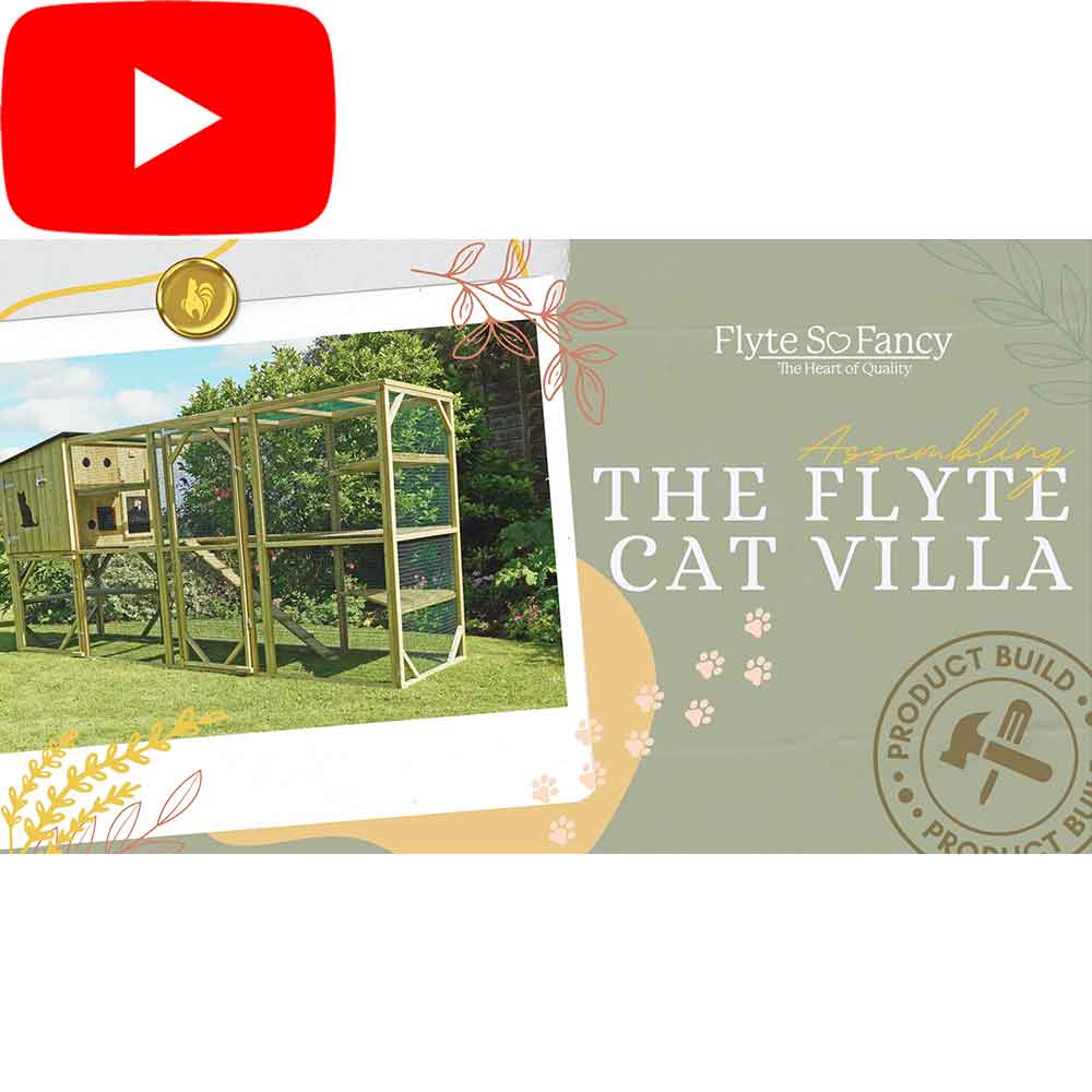 Video for Assembly of the Flyte Cat Villa