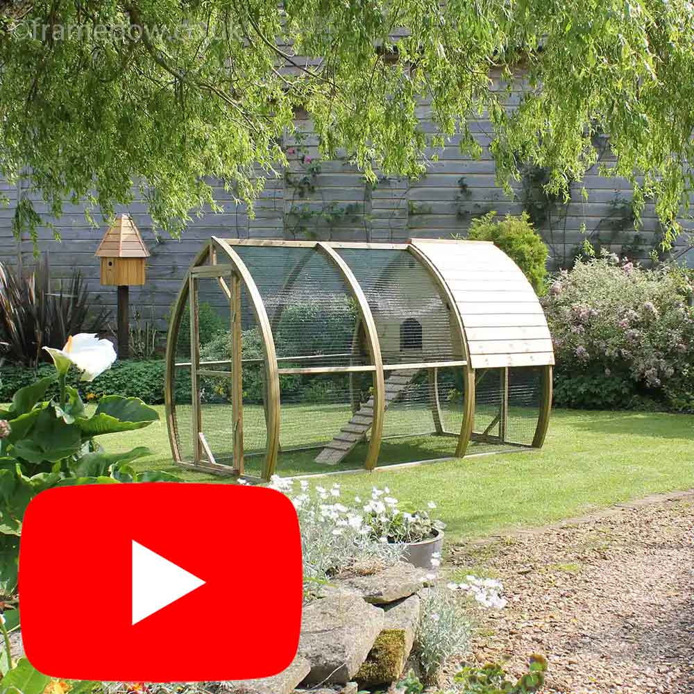 Take a tour round the Arch Chicken Coop