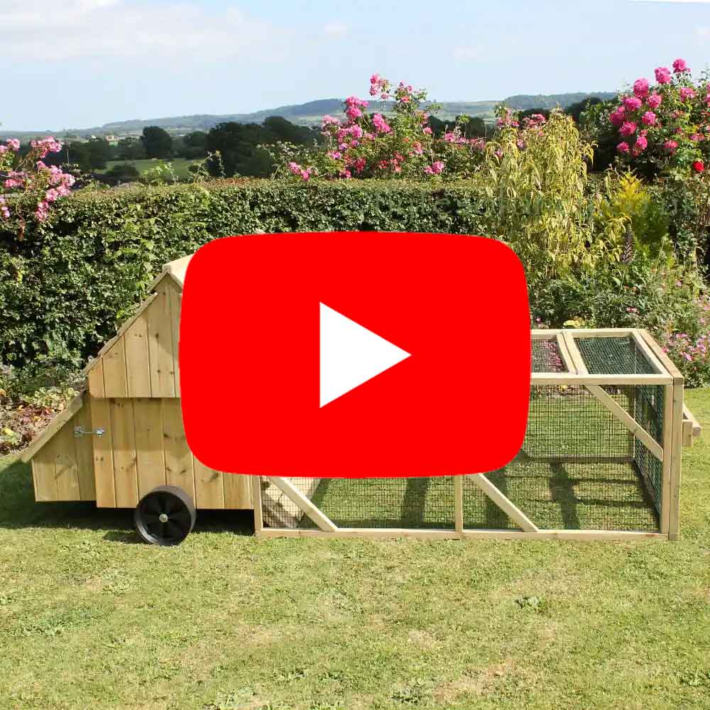 Dorset Ranger 6 Coop Video Tour