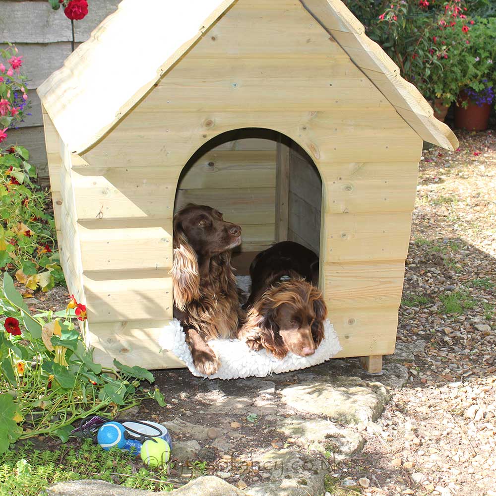 Fancy outdoor outlet dog kennels