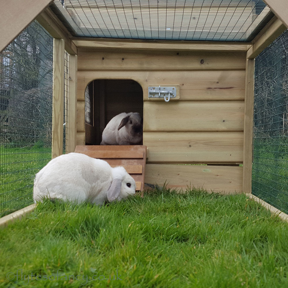 A rabbit clearance in a hutch