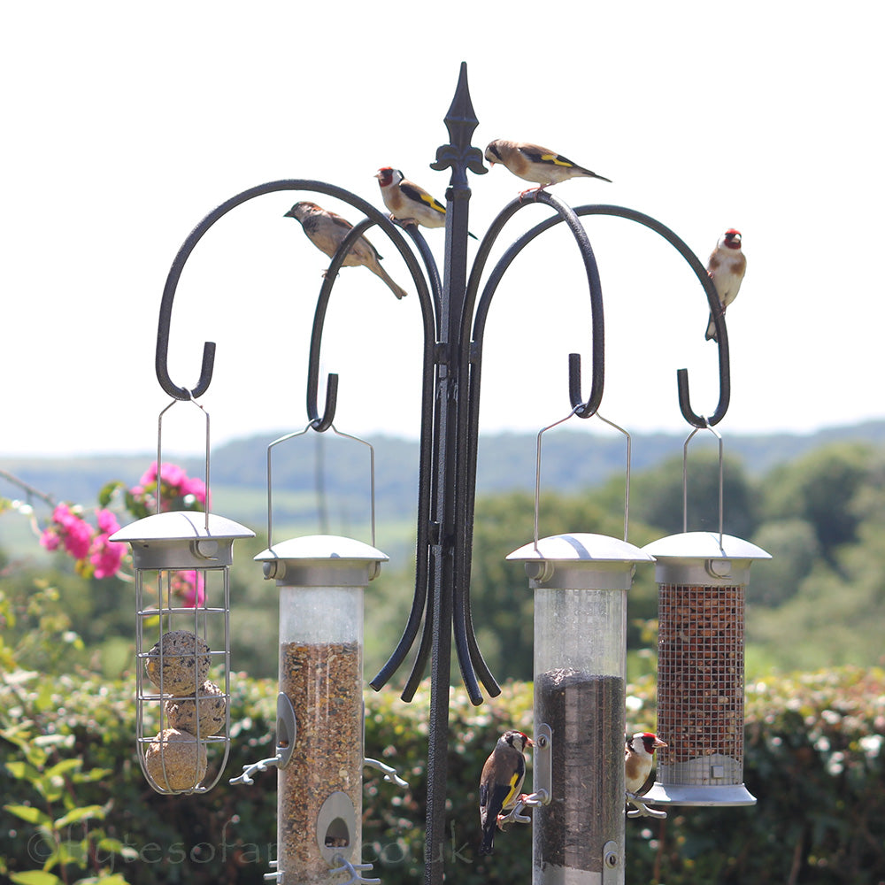 Bird hotsell feeder stand