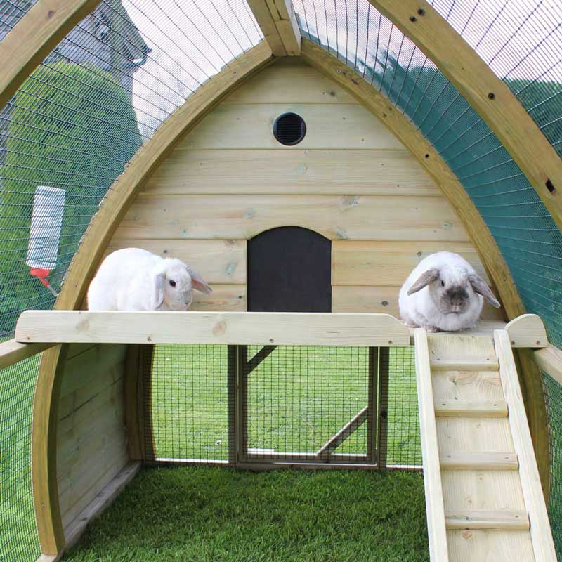 Outdoor rabbit clearance shelter