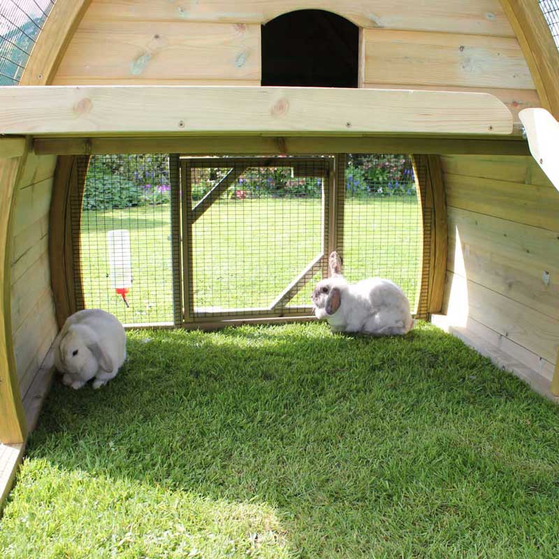 Framebow shop rabbit hutch