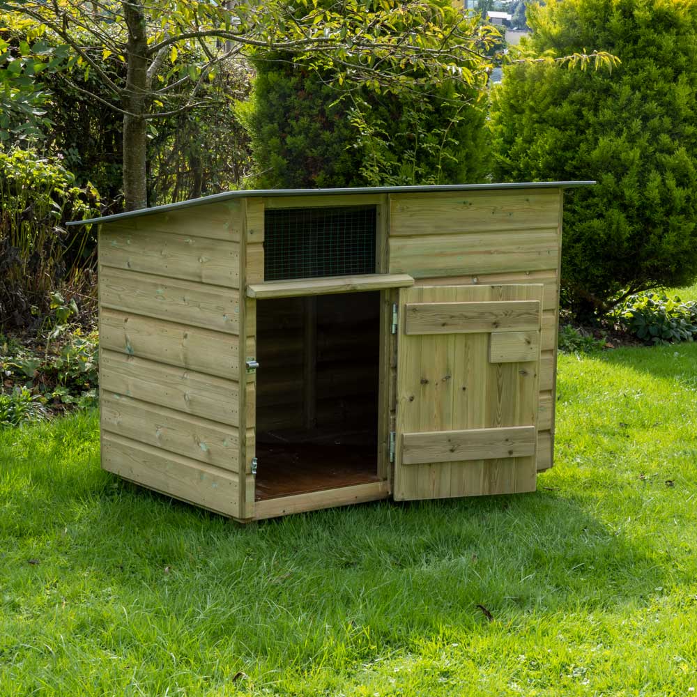 Large outdoor dog sales kennel with roof